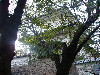 b0069502_16585116.jpg