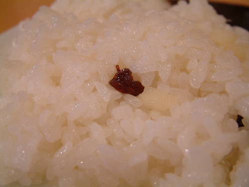 a0000029_9394310.jpg