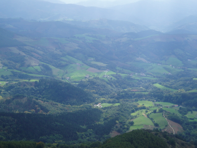 b0032039_5283540.jpg