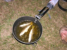 c0060452_2291768.jpg