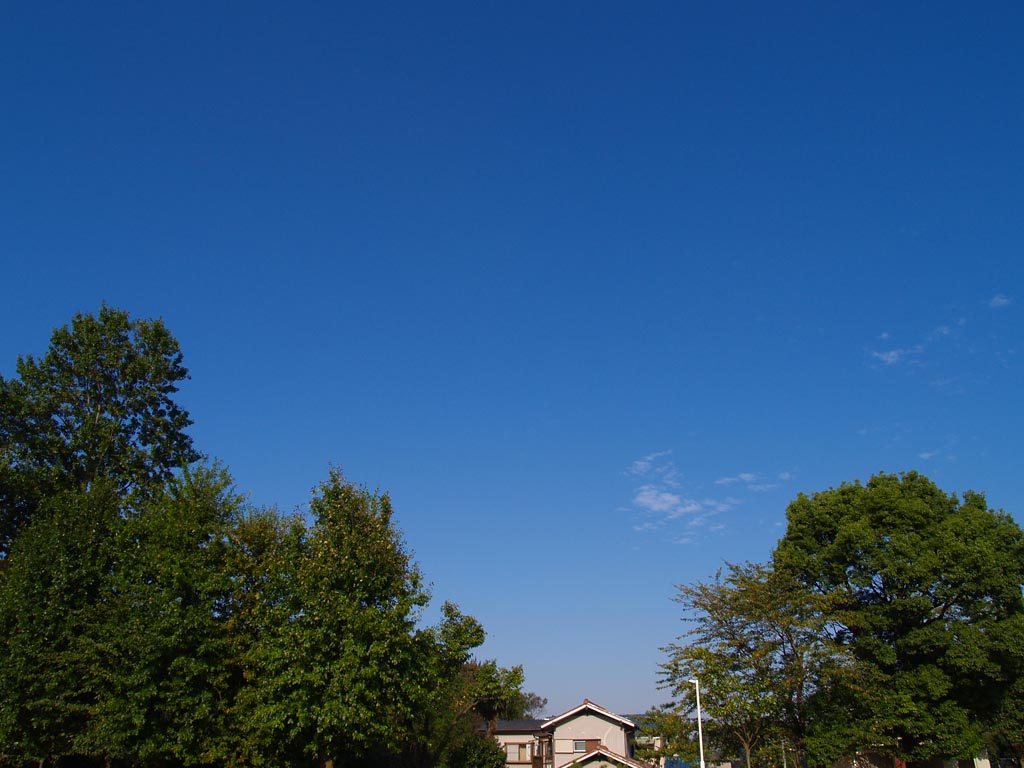 e0071178_220266.jpg