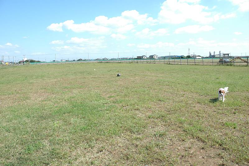 c0075585_1412226.jpg