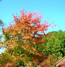 c0016212_23161217.jpg