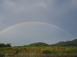 a0018313_21020100.jpg