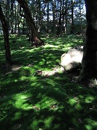 a0018313_2355204.jpg
