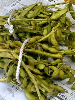 d0031619_182126.jpg