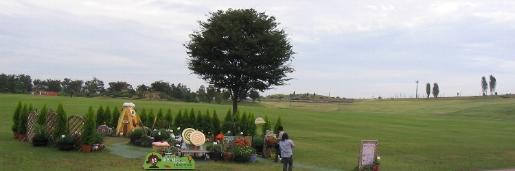 雨のばら園_d0007820_22371617.jpg