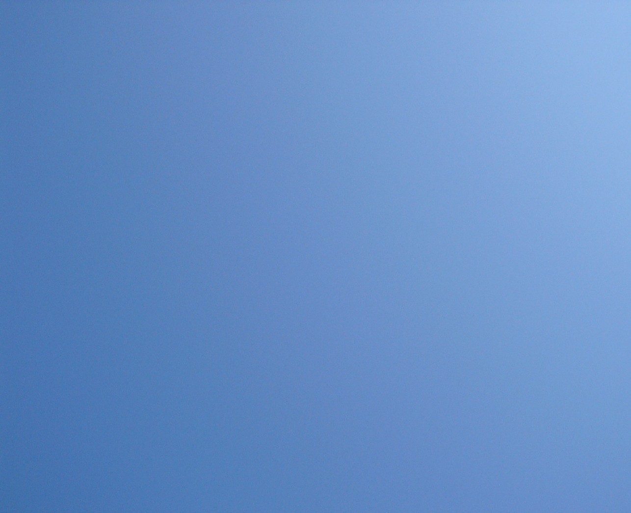 b0031429_0253721.jpg