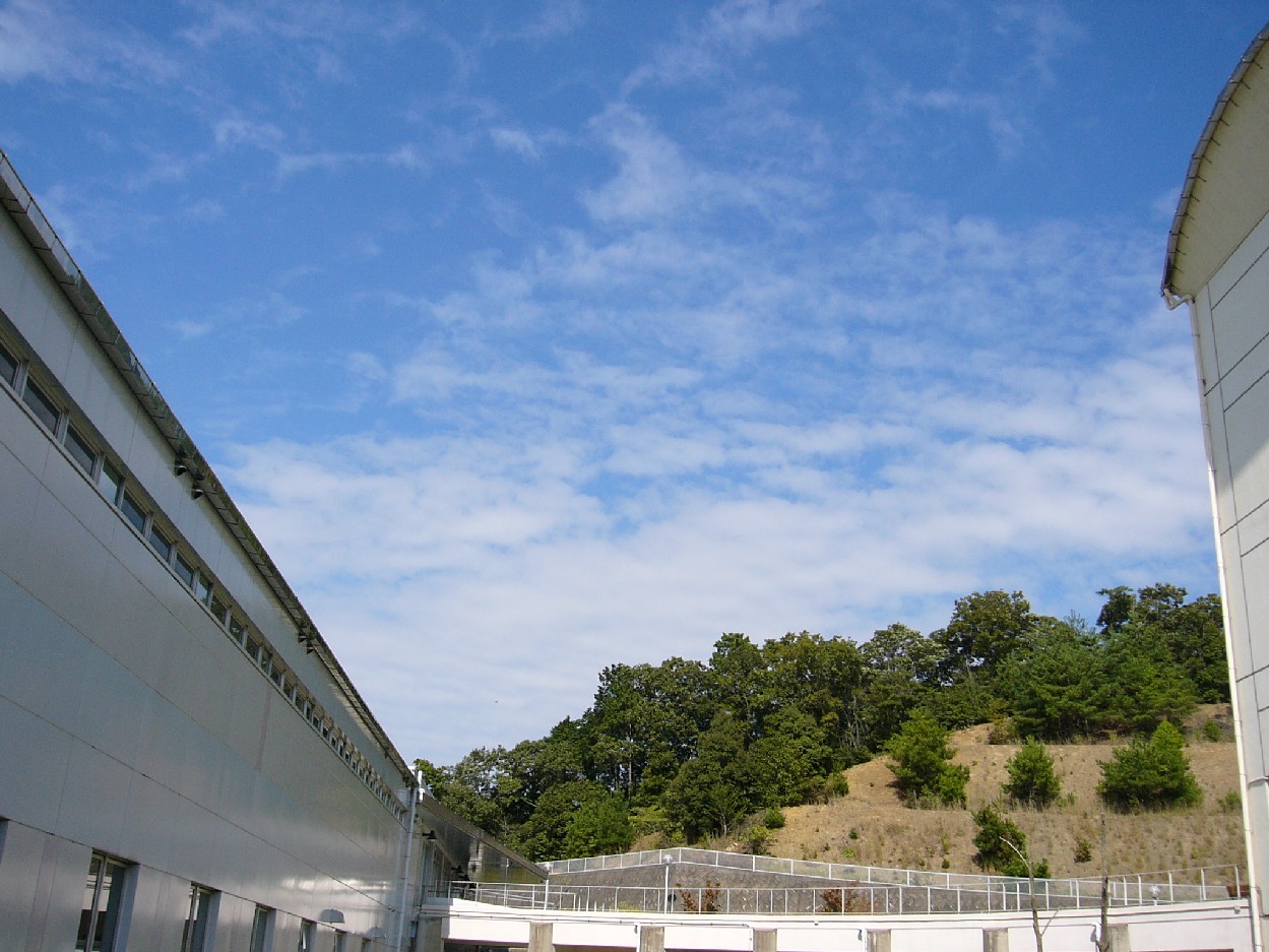 b0031429_03341.jpg