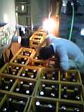 d0007957_23184374.jpg