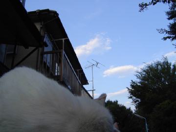 b0019960_2144666.jpg