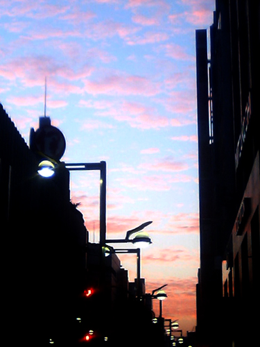 c0044673_120132.jpg