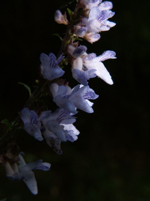 d0037282_21154517.jpg