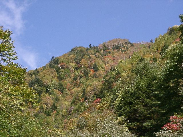 平湯峠の紅葉_c0036792_9535077.jpg