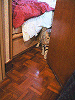 e0008794_8595829.gif