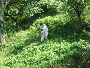 c0016212_22224862.jpg