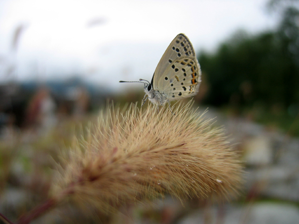 d0054625_20395170.jpg