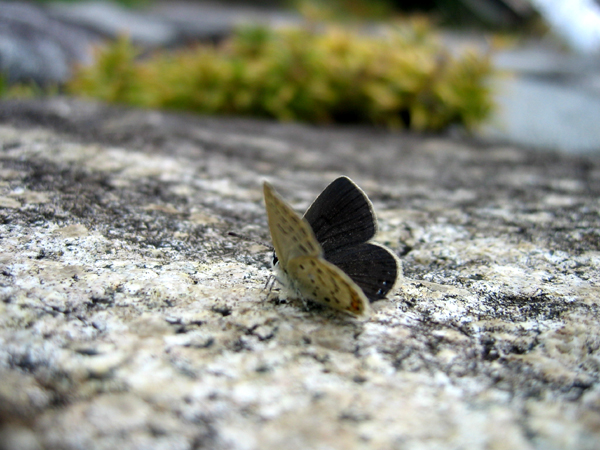 d0054625_2102845.jpg