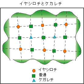 カタカムナ文献（リンク）_b0023449_2253377.jpg