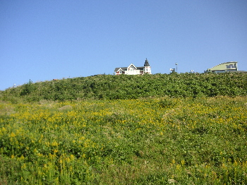 a0003150_955773.jpg