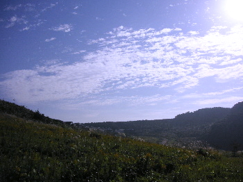 a0003150_964581.jpg