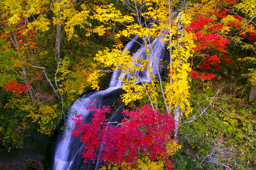 a0009562_20332596.jpg