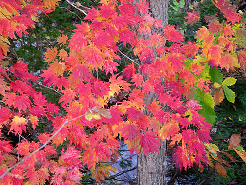 a0009562_20334218.jpg