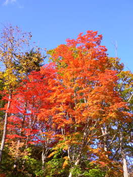 a0011280_22304942.jpg