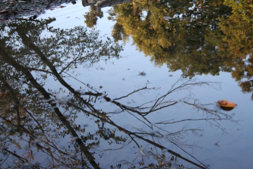 e0027083_10243715.jpg