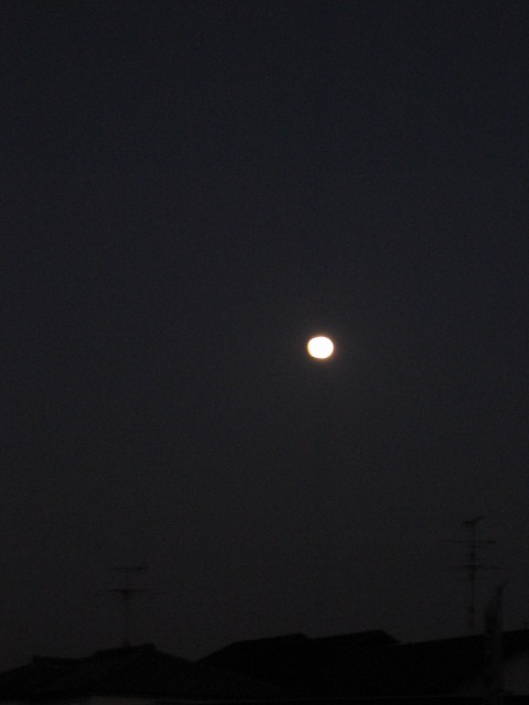 full moon_e0051194_2111472.jpg