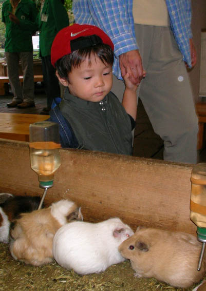 井の頭動物園_e0064400_5561065.jpg