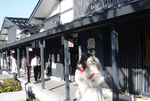 e0050801_19211845.gif