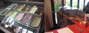 d0014408_1523209.gif