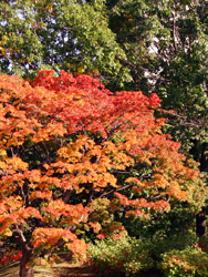 c0024729_20374977.jpg