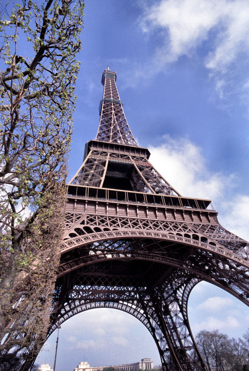 e0083036_1352623.jpg