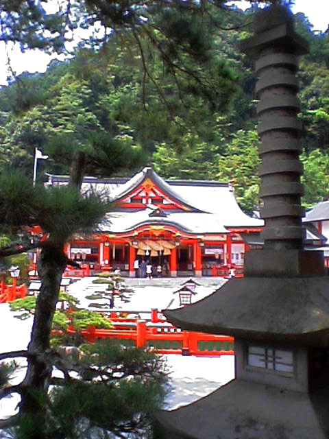 毎日コラム(無理)_a0036051_063631.jpg