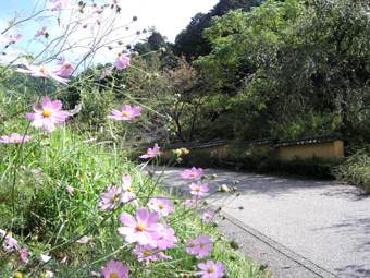 c0069552_8531468.jpg