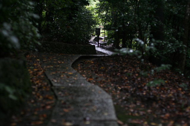 雨の京都～茂庵_b0055171_16282482.jpg