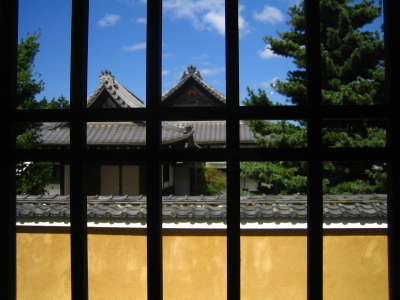 高槻に戻りました_d0047811_22463122.jpg
