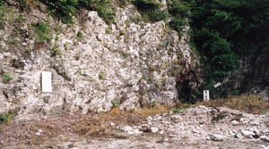 e0034012_0485499.jpg