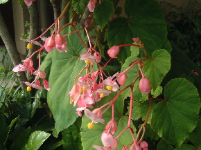 e0076814_23214192.jpg