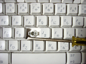c0044024_2055226.gif