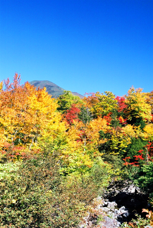e0016732_21551862.jpg
