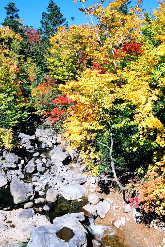 e0016732_21554943.jpg