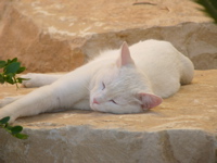b0038735_452491.jpg