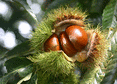c0042941_9171945.gif