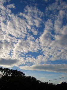 a0038862_22112840.jpg