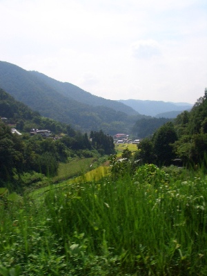 a0038862_223554.jpg