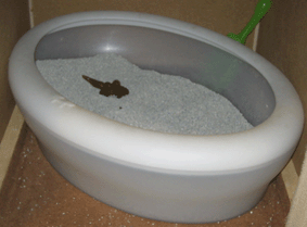 a0009397_20313748.gif