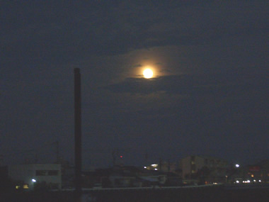 b0067598_0155441.jpg